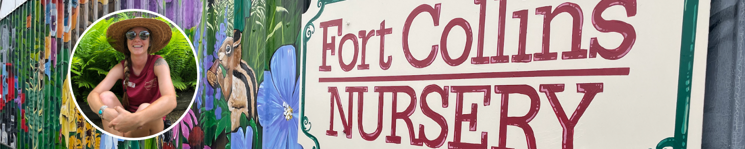 fort collins nursery sign fort collins nursery sign