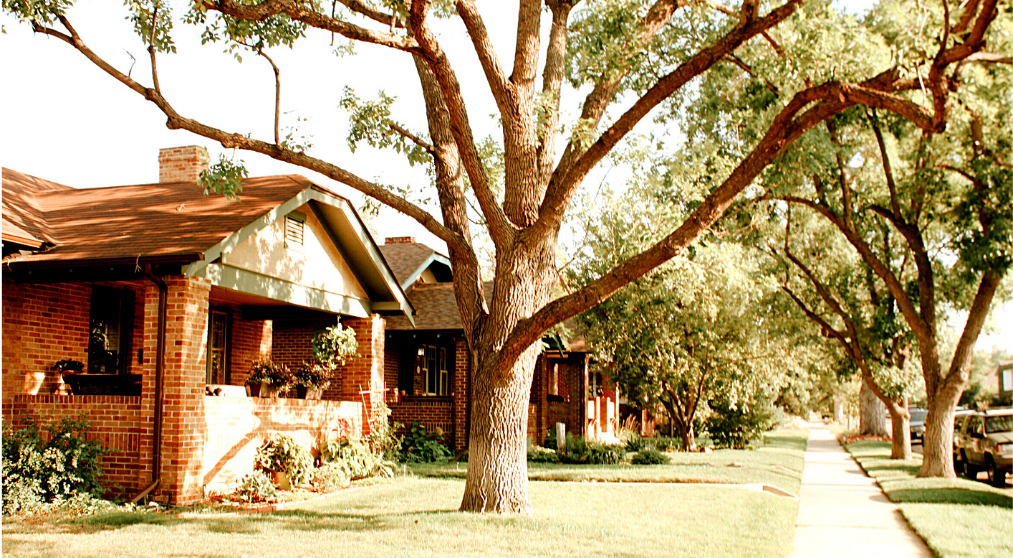 Houses with trees