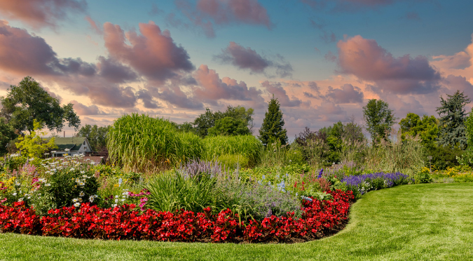 jardín próspero a lo largo del Front Range de Colorado con flores y otras plantas